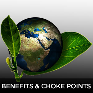 Benefits and Choke Points