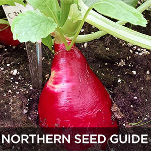 Northern Seed Guide
